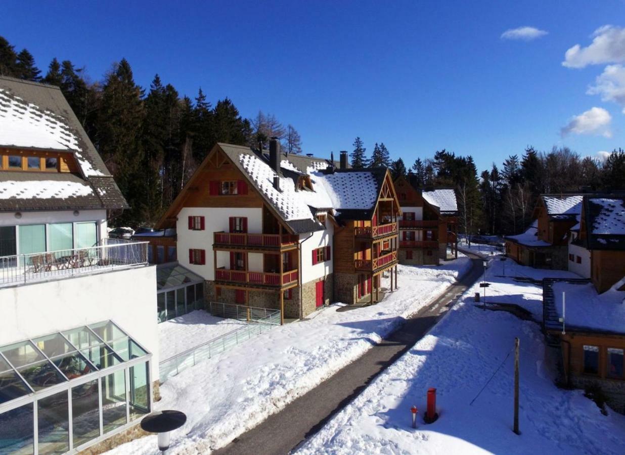 Antela, 142 M2 Appartment For 12 Person In Mariborsko Pohorje Hočko Pohorje Екстериор снимка